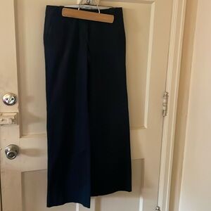 Ann Taylor Loft Navy Pants